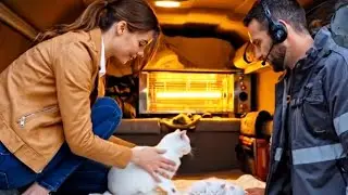 Story of Rescuing the mother cat #protectwildlife #protectanimals #story #storytime #wildliferescue