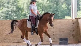 Correct Rider Leg Position // Horse Training Tips with Deanna Corby Dressage