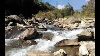 Tea Village Home Stay , Tabakoshi Near Mirik, West Bengal (Diganta Travels)
