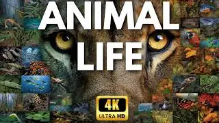 Animal Life Expert Shares TOP Nature Secrets