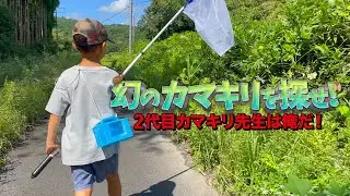 超激レアの幻のカマキリを見つけた！