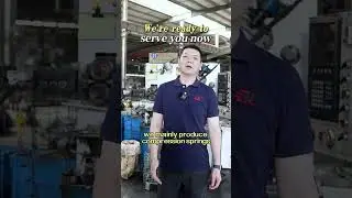 Dingli Spring Professional Spring Manufacturer in Ningbo, China Compression & Torsion Springs