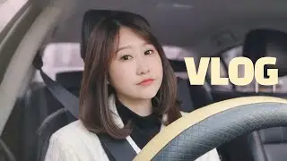 [브이로그]일하는 40대 공인중개사여성의 평범한? 일상입니다ㅎ 포메라니안/베트남쌀국수/삼겹살/월남쌈/샤브샤브/치킨/