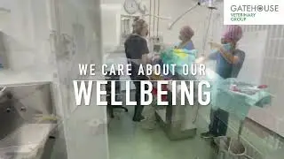 Why Gatehouse Vets - We Care