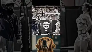 Anatoly Epic Gym Edits with Dog Reactions!
