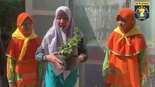 Madrasah Bebas Nyamuk | MI NU Banat | UPTD Puskesmas Purwosari Kota Kudus