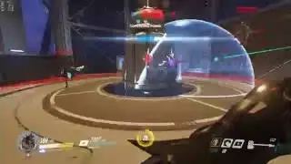 Overwatch Reinhardt and D.va PTR