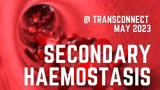 Secondary Hemostasis 2.0. Episode 33