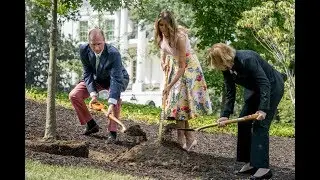 Melania Trump plants presidential tree at White House