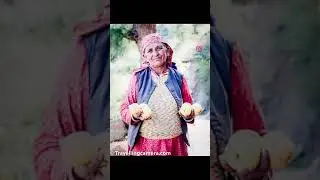 Himalayan State of India through photographs by Travellingcamera.com