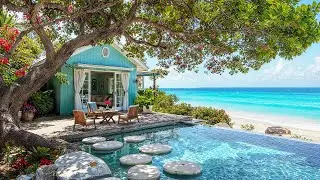 Elegant Bossa Nova at Beach Cafe Ambience l Courtyard Garden Jazz for Reflection & Calm Moments