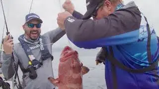 Pro Jigging Tips | From Coral Trout to GT | Shimano Coltsniper Journey | Step Outside with Paul Burt