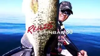Spycentral: Lake Biwa #5: Spinbait 80 Showcase