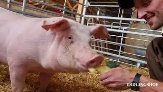 Benedikt freut sich über frisches Gemüse 🥒🥕