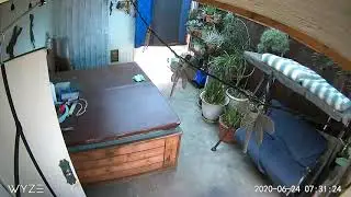 Noise next door