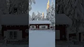 Winter cabin #shorts #winter
