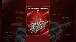 Mastering Manual Transmission: A Comprehensive Guide #Gearbox #Clutch #ShiftFork #Synchronizers