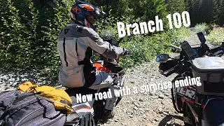Branch100 New Road with a Spurprise