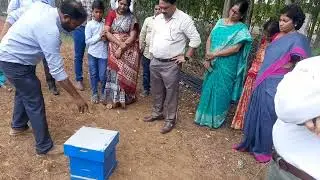 HONEY BEE PRODUCTION SHOWING TO HONOURABLE VICE CHANCELLOR PROF.S VIJAYBHASKARA RAO IN VSU NELLORE