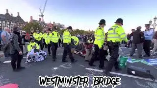 Group of climate change protestors are getting arrested after blocking Westminster Bridge