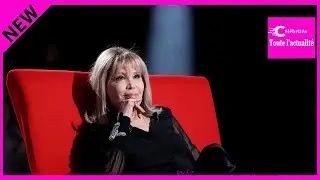 ✅ Amanda Lear et la rumeur trans : 