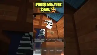 I fed the hungry owl #roblox #99nightintheforest