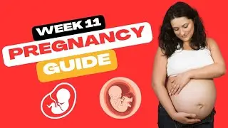 Week 11 Pregnancy Guide | Symptoms, Baby Growth & Tips | Sunrise Diagnostic Centre Pune