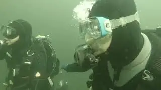 abgetaucht im Schweriner See