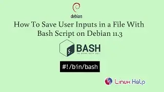 How to Save user inputs in a file with Bash Script on Debian 11.3