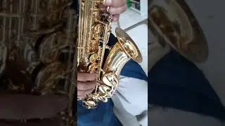 Sax Alto Jupiter JAS 567-565