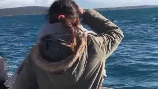 Whale Watching Flinders Bay