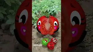 Goodland | Tomato birth in the field 😂 #doodles #animation #cartoon