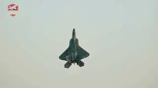 Wings of vigilance Shadows over the eastern border