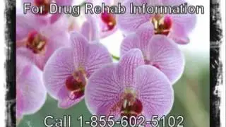 Best Government Based Substance Abuse Rehabilitation Program Close to Manteca