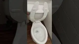 crane plumbing toilet 🚽 and Emerson pryne exhaust fan at a church cafeteria in Dallas Texas