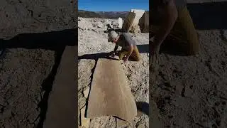 #dig #digging #fossil #fossils #fish #education #love #amazing #paleontology #discovery #wow #wy
