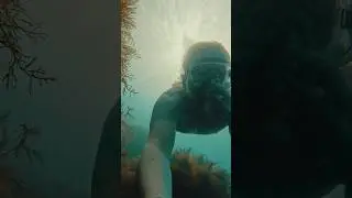 Black Sea autumn #diving