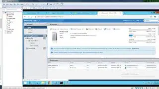 Delete root folder inside ESXI data Store