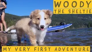 Sheltie Puppy Rides In Kayak - Woodys' First Outdoor Adventure!