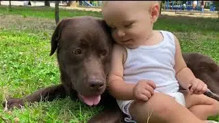 Baby Boy Loves His Dog So Much!
