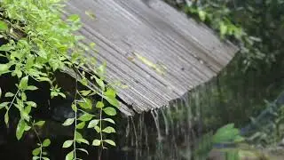 SOOTHING RAIN SOUND AND VISUAL TO PLAY ON A LOOP.