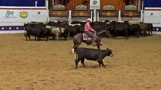 2017 NCHA Summer Spectacular  UnAm 1st Go