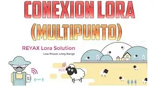 Conexión LoRa Multipunto (1)