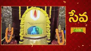 Seva | సేవ | Telugu Traditional Events | TeluguTraditions