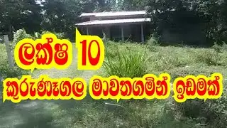 කුරුණෑගල මාවතගමින් ලක්ෂ 10 ඉඩමක්|kalu malli|aduwata idam|pol idam|idam