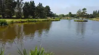 24.6.16. Ho Fiskes&oslash;