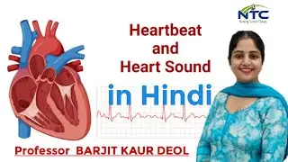 Heart Sounds Explained in hindi 🔉| Lub Dub | physiology | Heart beat | Nursing topic