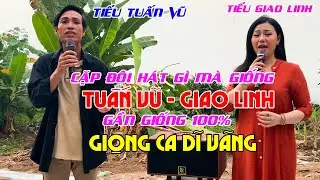 Hát Y Như GIAO LINH X TUẤN VŨ l Có 1 Không 2 / Giọng Ca Dĩ Vãng l PHONG SƠN NƯỚC X TIỂU THUÝ