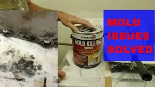 Sanding and Priming with mold killing primer. (How To)