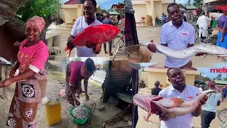 AMEJENGA NA ANASOMESHA WATOTO KWA BIASHARA YA UKAANGAJI WA SAMAKI